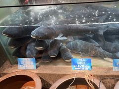 -上名堂·鱼头好吃(体育场路店)