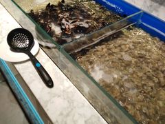 -火锅岛潮牌自助餐厅(天津天佑城店)