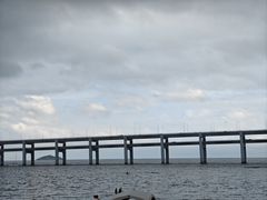 -星海湾跨海大桥