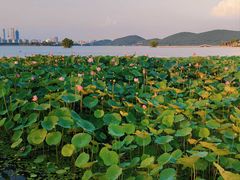 -云龙湖旅游景区