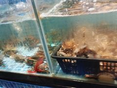 -小天鹅戴斯酒店鲸鲨百汇创作料理