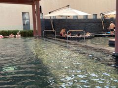 -清河半岛温泉度假酒店