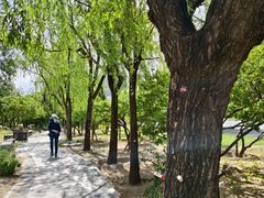 -丰台科技园生态主题公园