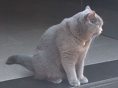 -BreadTalk面包新语·烘焙蛋糕(海珠丽影广场店)