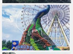 -七彩云南欢乐世界