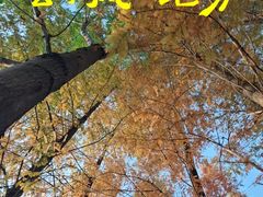-白鹭湾湿地公园