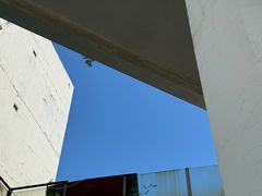 -椰客·海南椰子鸡(新塘永旺梦乐城店)