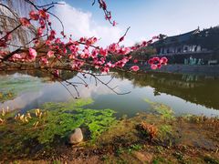 -月湖风景区