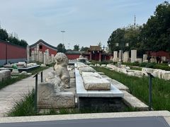 -药王庙(安国市)