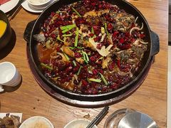 -老板恋上鱼(恒隆广场店)