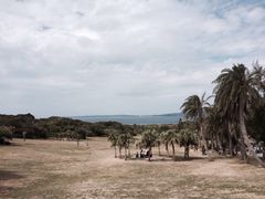 iphone_upload_pic-鹅銮鼻灯塔