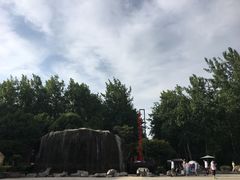 -合肥滨湖国家森林公园