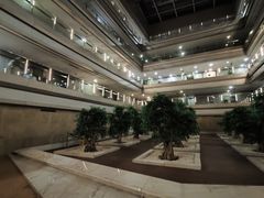 -南京禄口机场雅高铂尔曼大酒店