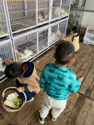 -小蜜蜂农场(凯德七宝购物广场店)