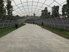 -秀丽东方