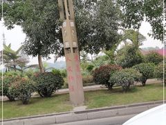 -泸州欢乐派海滩公园