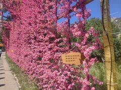 -北京凤凰岭