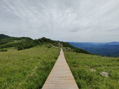 -白草畔自然风景区