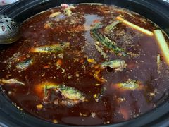 -金海椒罐罐鲢鱼(东方桂苑店)