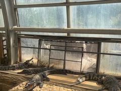 -石家庄市动物园