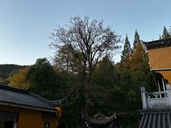 -九华山风景区