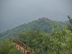 -大岭沟猕猴桃谷风景区