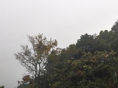 -杭州半山国家森林公园