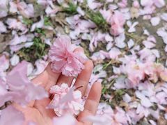 -一棠龙虾•王牌虾球(楚河汉街店)