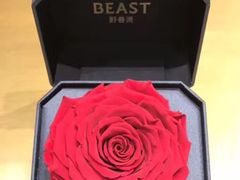 -BEAST野兽派(上海浦东嘉里城店)