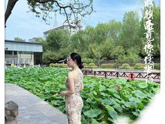 -莲湖公园