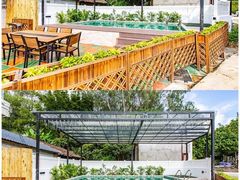 -广州市流溪河国家森林公园