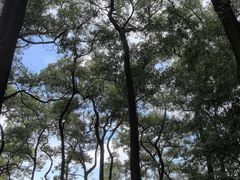 -云溪植物园