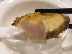 -青蓬蒸汽海鲜·深圳老字号·团建聚会(壹方城店)