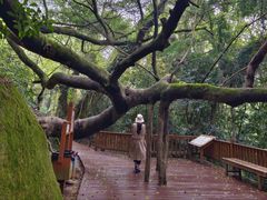 -青芝山风景名胜区