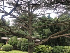 -西郊宾馆·1921餐厅