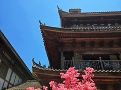 -洋湖国家湿地公园