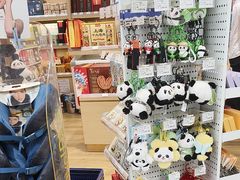 -上海浦东国际机场-T2航站楼