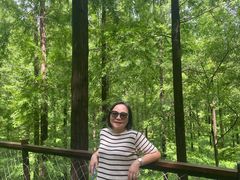 -黄海国家森林公园