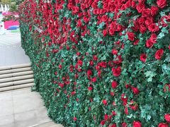 -UNI UNI(环亚凯瑟琳店)