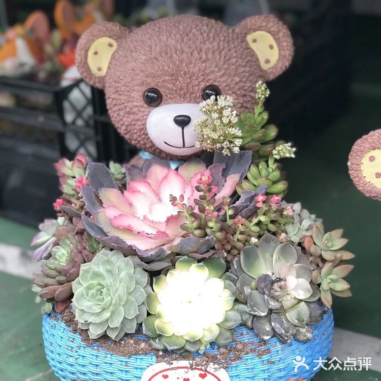 逛花市过年咯！