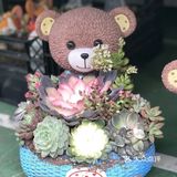 逛花市过年咯！