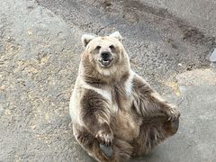 -哈尔滨北方森林动物园