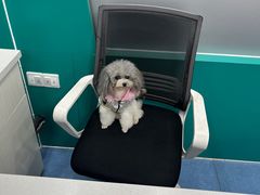 -博特宠物医院24h犬猫全科.骨科·异宠