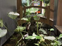 -邈墨茶馆(凤起路店)