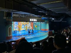 -重庆欢乐海底世界