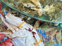 -蓝珊海鲜澳洲和牛自助餐厅
