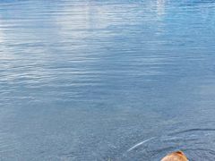 -丽江泸沽湖景区