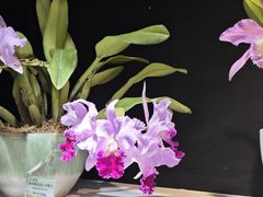 -国家植物园南园