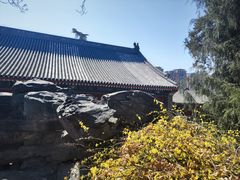 -北京艺术博物馆(万寿寺)