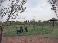 -江天生态园餐厅
